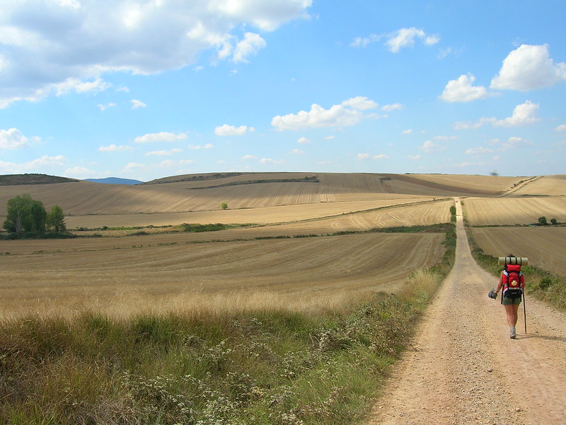 Paisaje de campos de cereales con un camino recto por el que camina un peregrino